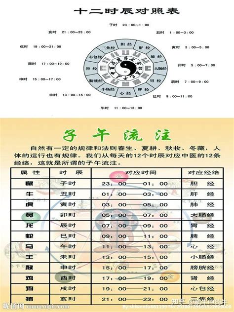 丁庚|天支地支 十二时辰对照表